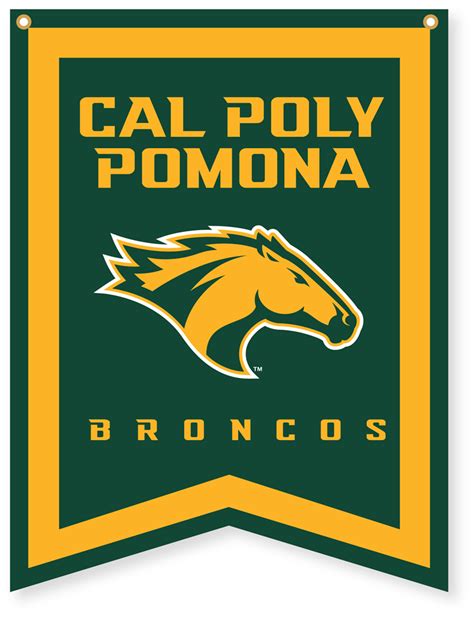 The Psychological Effects of Cal Poly Pomona Colors on Students and Alumni